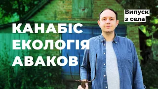 Медичний канабіс, Аваков, екологія, судова реформа | Випуск 19 | А шо там в Раді?