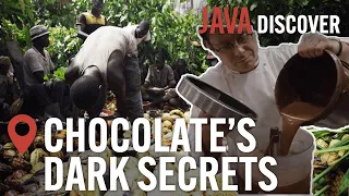 Chocolate's Child Slaves? Secrets of the Chocolate Industry