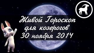 Зайка Zoobe - гороскоп для КОЗЕРОГОВ ♑ на 30 ноября
