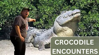 Top Crocodile encounters / Attacks 2023