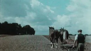 English Harvest (1938)