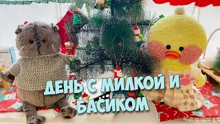 МОЙ ДЕНЬ С МИЛКОЙ И БАСИКОМ!