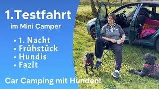 MiniCamper Testfahrt | 1. Nacht im neuen Schlaf-Setup | Küche | Zeit mit den Hunden genießen | Teil2