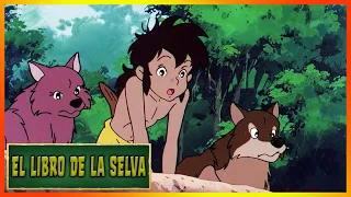 El Libro de la Selva | Episodio 10 | Dibujos Animados Para Niños | Serie Animada | Cuento de Hadas