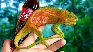 ХАМЕЛЕОН МЕНЯЕТ ЦВЕТ😱 / ЭКСПЕРИМЕНТ С ЗЕРКАЛЬНОЙ КОРОБКОЙ🦎