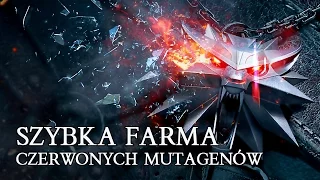 WIEDŹMIN 3 KREW I WINO - SZYBKA FARMA CZERWONYCH MUTAGENÓW