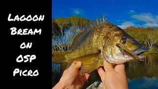 Kayak Fishing Southern Bream | OSP Picro 68 Session