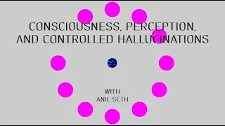 Consciousness, perception, and controlled hallucinations with Anil Seth