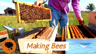 Splitting a Hive using the Doolittle Method