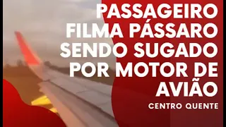 PASSAGEIRO FILMA PANE MOTOR COLISÃO PÁSSARO AVIÃO