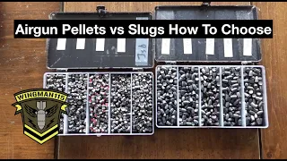 Airgun Pellets vs Slugs How To Choose