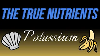 The True Nutrients - Potassium