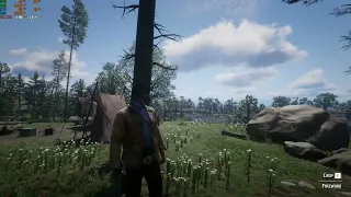 Rdr2 on potato graphics