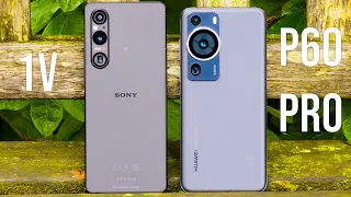 Huawei P60 Pro vs Sony Xperia 1V: Camera Test Comparison!