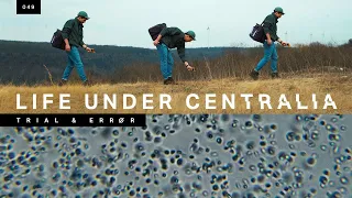 The underground life forms that have taken over Centralia