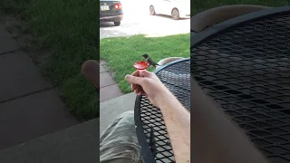 hummingbird feeder ring