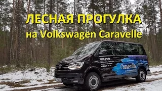 На Volkswagen Caravelle по лесу