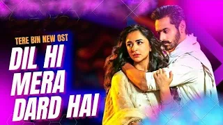 Tere Bin  New Song  Dil Hi Mera Dard Hai  - Tere Bin  OST  Pakistani Drama