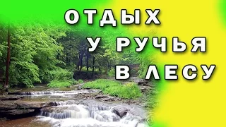 ♫ Отдых  у  ручья в лесу. Пение птиц и полный #релакс♫