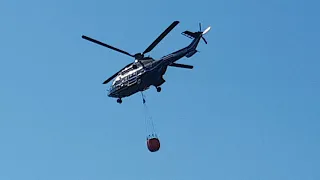 Eurocopter AS332L1 Super Puma SN.2705 D-HEGL Federal Police on a fire fighting exercise at lake