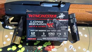 Almost Perfect! Winchester Longbeard XR 3" 1-7/8oz #5 Test W/ 11-87 & HS Strut UnderTaker .665