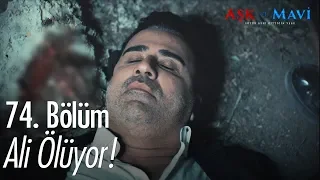 Ali ölüyor! - Aşk ve Mavi 74. Bölüm