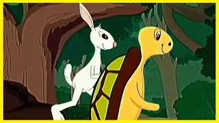 The Hare and The Tortoise | Hindi Animated Story