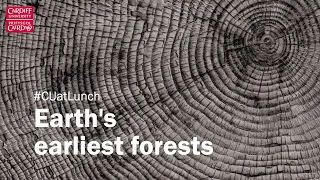 #CUatLunch - Earth's Earliest Forests