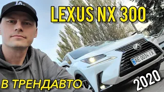 LEXUS NX 300 2020 на огляді в ТрендАвто