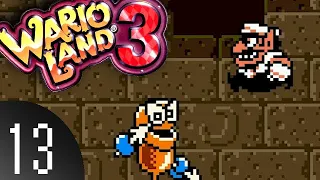 Wario Land 3 [BLIND] pt 13 - The Power of the Sun