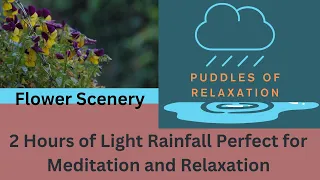 Flowers with Light Rain and Bird Song - 2 Hours - Best for Meditation or Relaxation - Sleep Faster