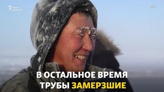 Время собирать лед