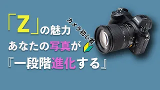 【Z6】初心者にもおすすめできる安価なフルサイズミラーレスカメラ