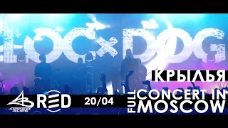 LOC-DOG в клубе RED! Полный концерт в Москве [20.04.2017]