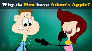 Why do Men have Adam's Apple? + more videos | #aumsum #kids #science #education #children