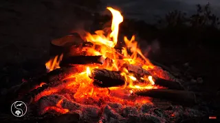 MEDITATION ON FIRE. Bonfire in nature We listen to the SOUNDS of burning firewood