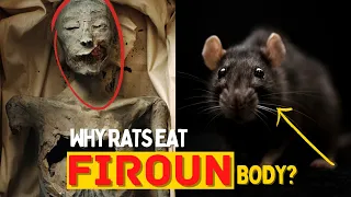 Why are Rats left on Firoun’s body Every Year? | Islamic Lectures