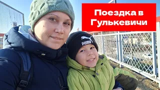 Поездка в Гулькевичи