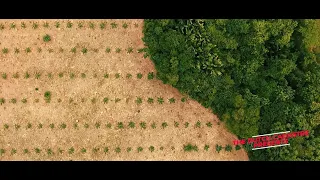 Land in Peace, Colombia: The Road to an Innovative Land Administration | Mini Documentary
