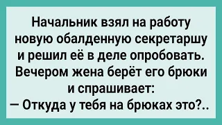 Как Начальник Новую Секретаршу Опробовал! Сборник Свежих Смешных Жизненных Анекдотов!