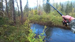 Таёжная рыбалка на Речке/ Осенний Клёв Хариуса/ Сошёл КРУПНЫЙ я его Подкараулил и Поймал!!!