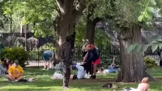 Woman seen violently tugging on people's hair in East Village park