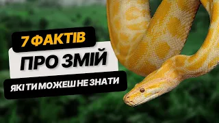 Змії: 7 ФАКТІВ про змій, про які ви можете НЕ ЗНАТИ | цікаві факти українською мовою