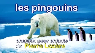 Les pingouins de Pierre Lozère