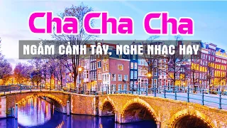 BẬT HẾT CÔNG SUẤT Nhạc Không Lời CHA CHA CHA Bass Live ngắm cảnh nước ngoài cực sảng khoái vui tươi