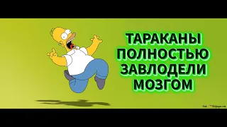 СВЕТИК ТЕБЕ ЗА ЧЕМ 12 ПАР КОЛГОТОК ОДНОГО РАЗМЕРА ???? ДА , НАПИШИ АДРЕС КУДА ТЫ НАС ОТПРАВИЛА ????