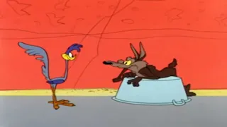 Wile E Coyote Best Moments 1   YouTube
