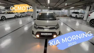 Авто из Кореи Kia Morning (Picanto) 2020 год  Осмотр