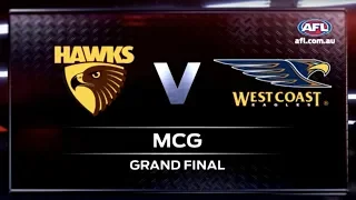 2015 Toyota AFL Grand Final - Hawthorn v West Coast Highlights - AFL