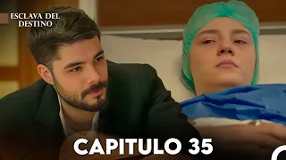 Esclava Del Destino Capitulo 35 - Doblada En Español